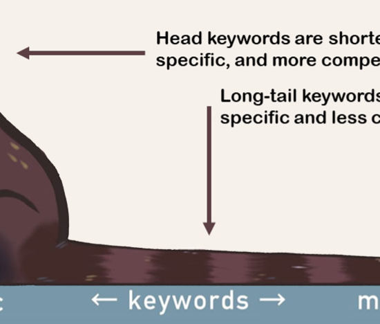 Improve Your SEO Results With Long-Tail Keywords